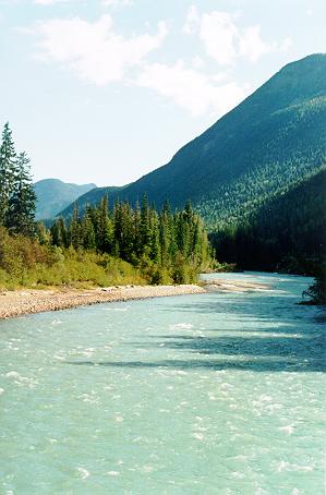 Illecillewaet River